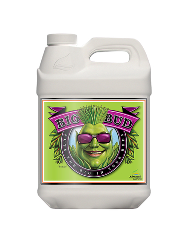 Big Bud Coco Liquid 10L 