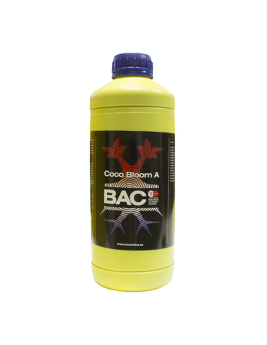 Coco Bloom A BAC 1L