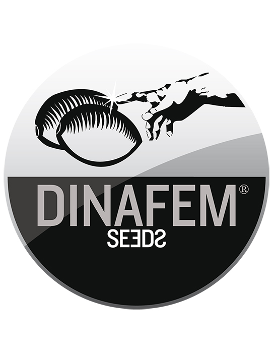 Dinafem